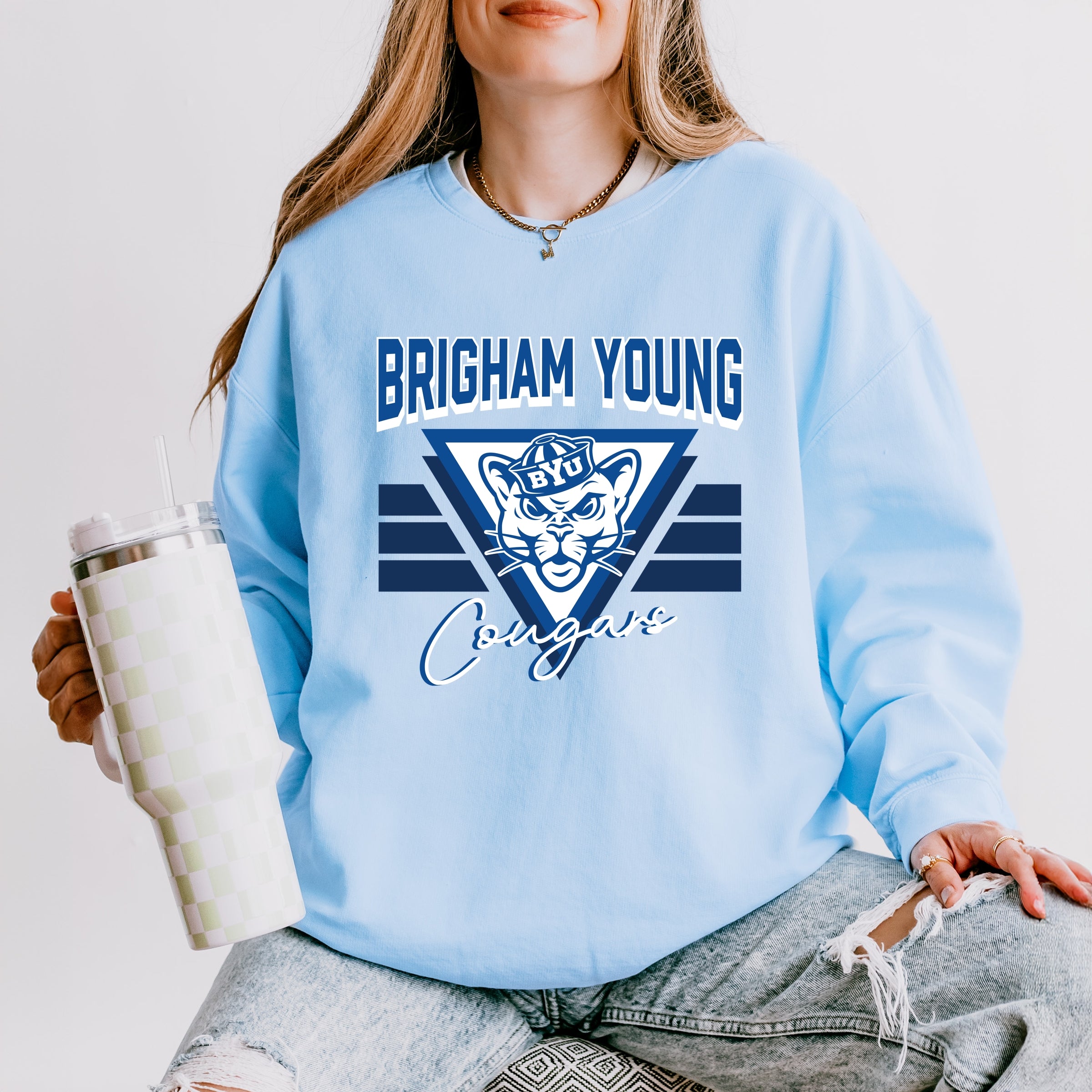 22729M_F-LGDSWT Hydrangea