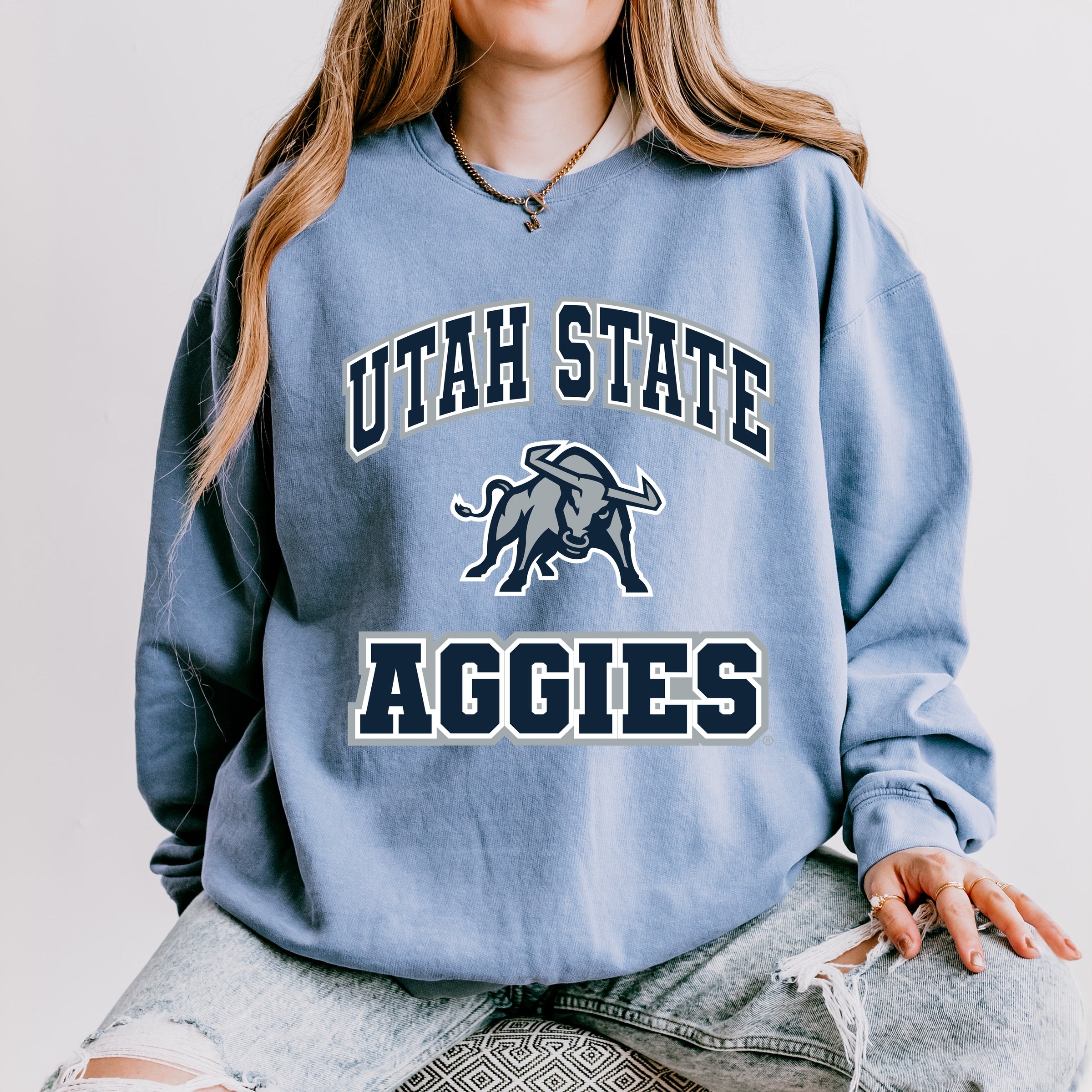 23002M_F-LGDSWT Blue Jean