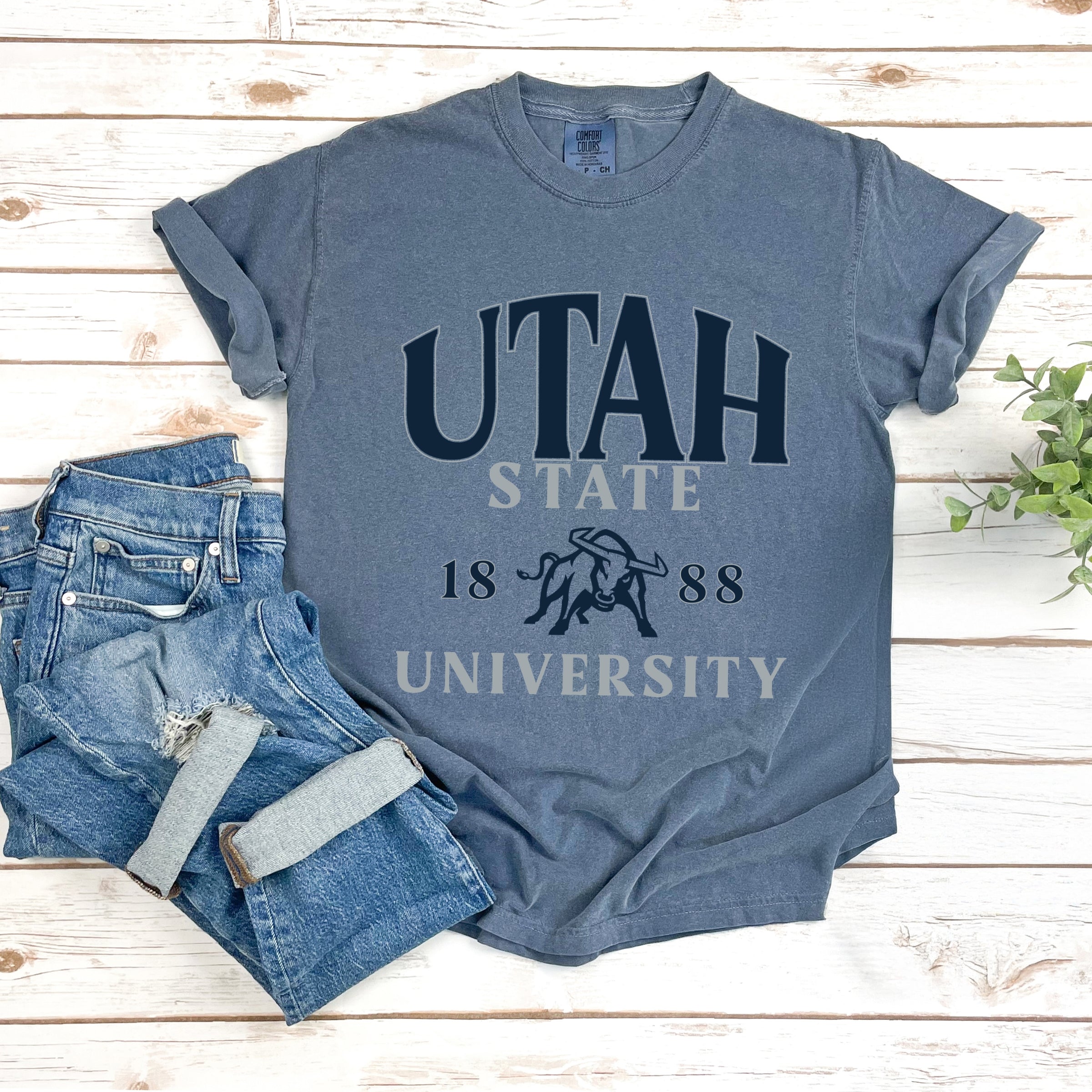 23005M_F-GDT Blue Jean