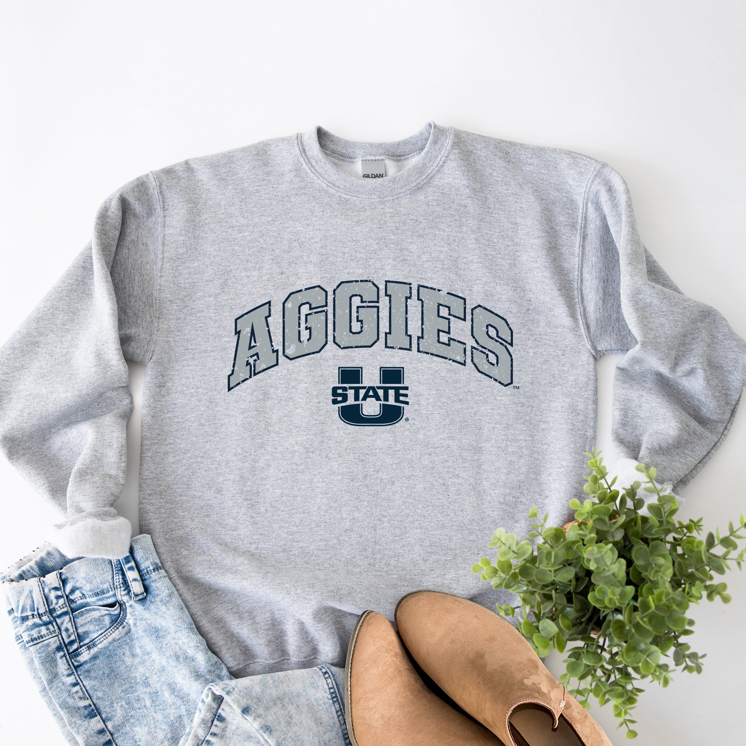 23009M_F-SWT Graphite