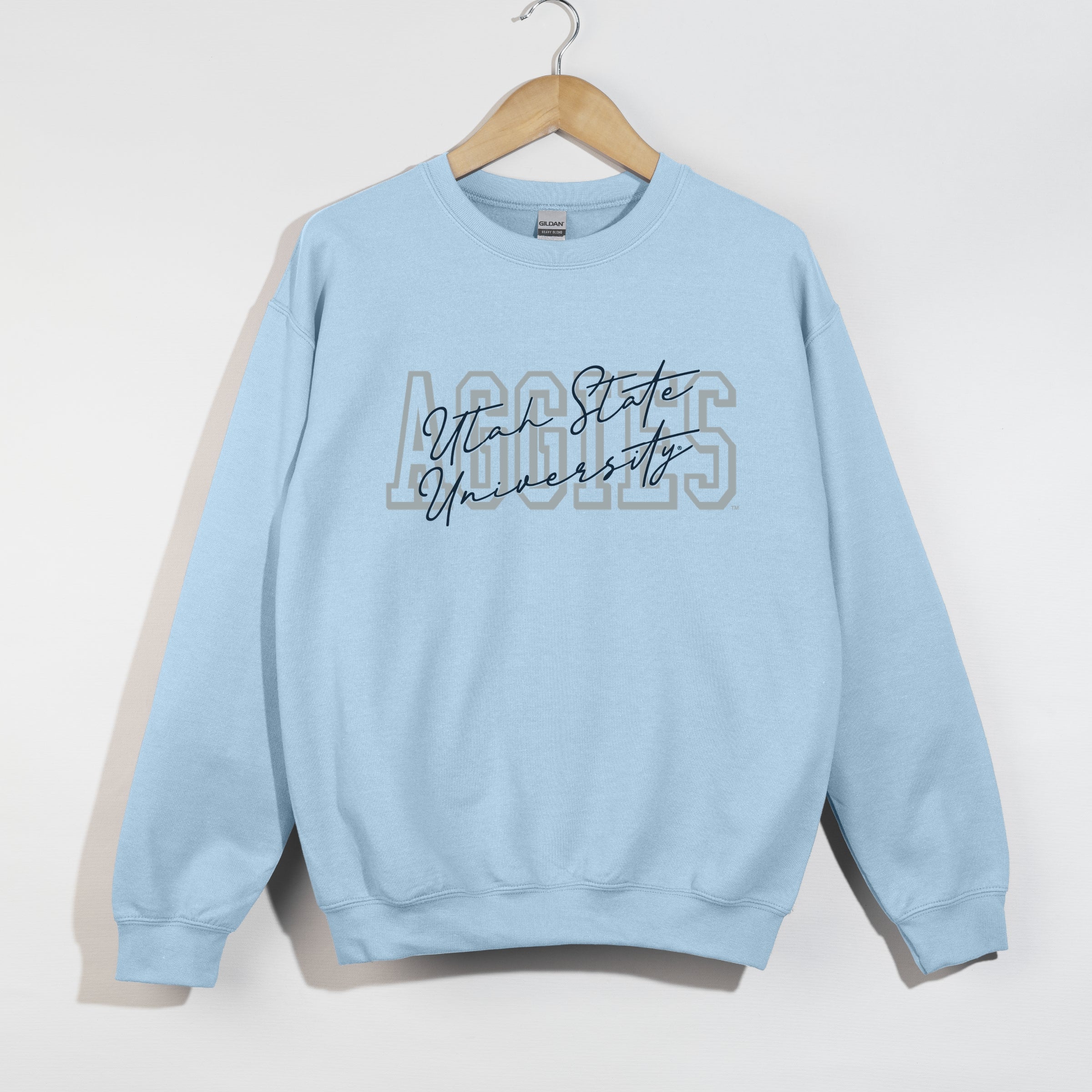 23015M_F-SWT Light Blue