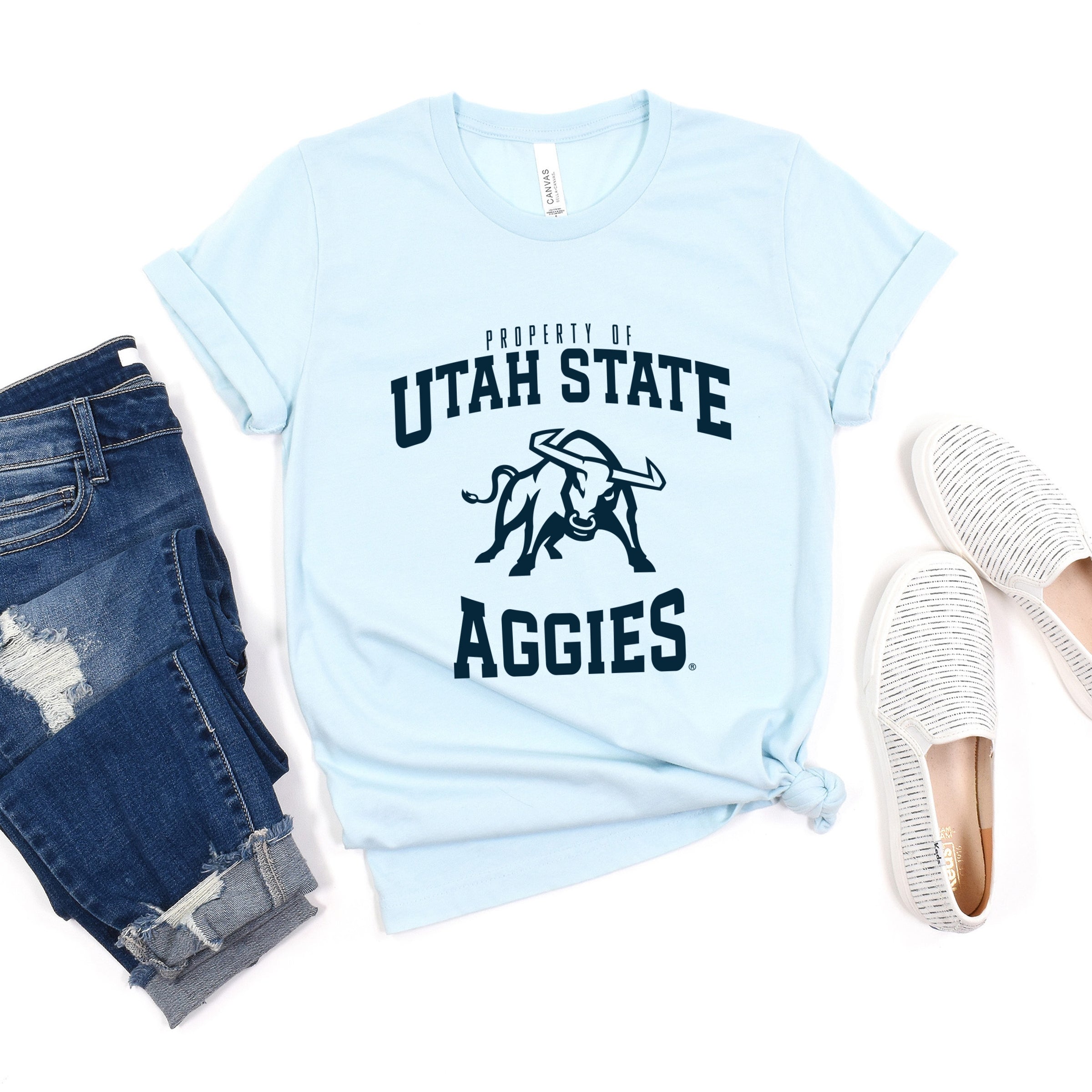 23017BLU_F-C Ice Blue