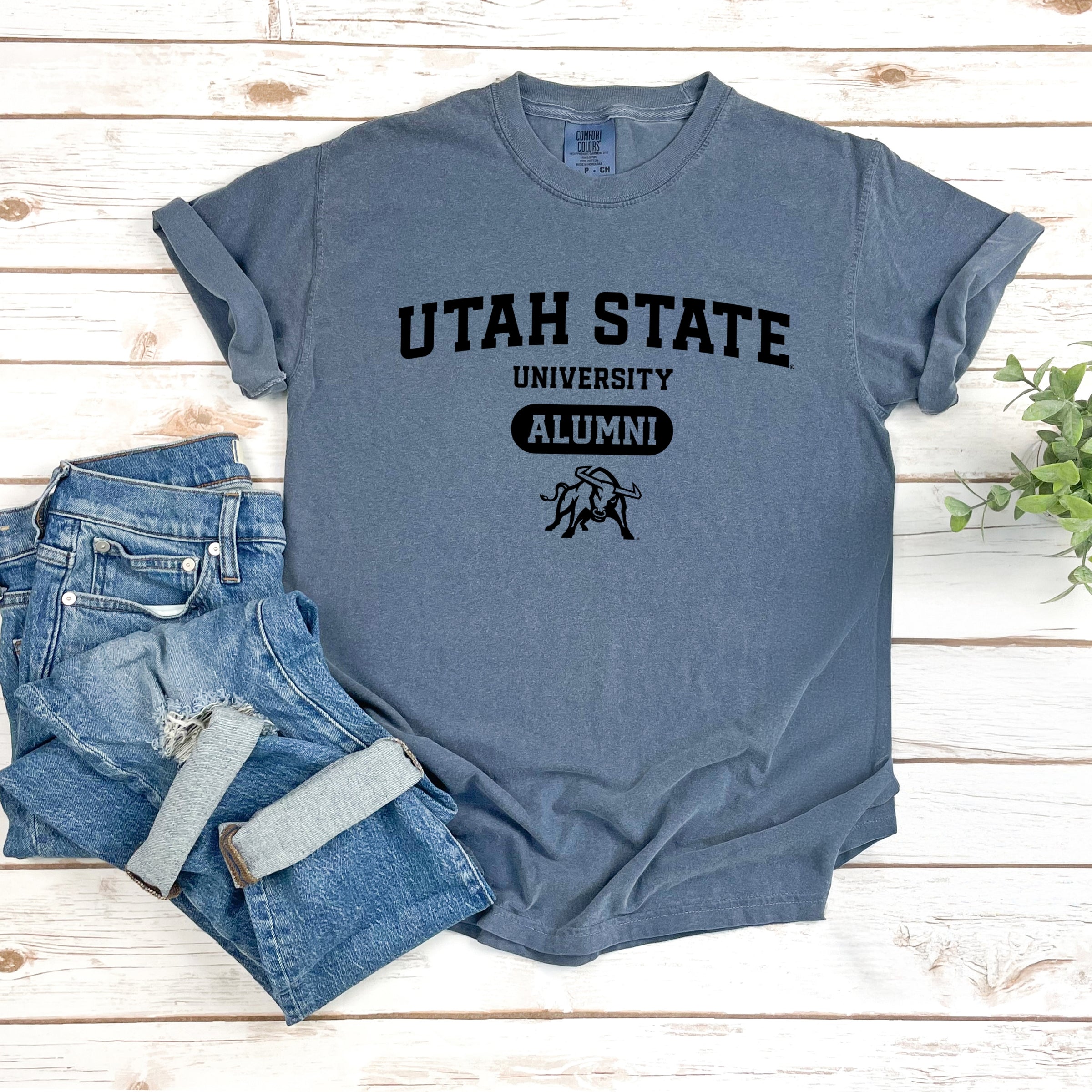 23019B_F-GDT Blue Jean