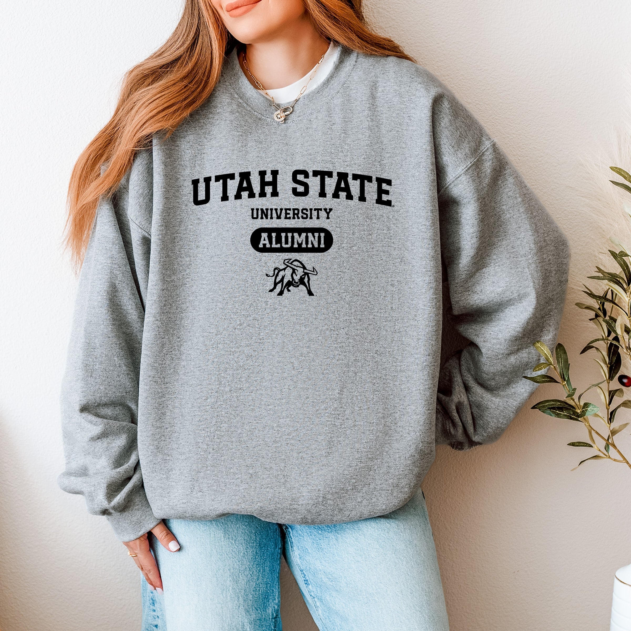 23019B_F-SWT Graphite