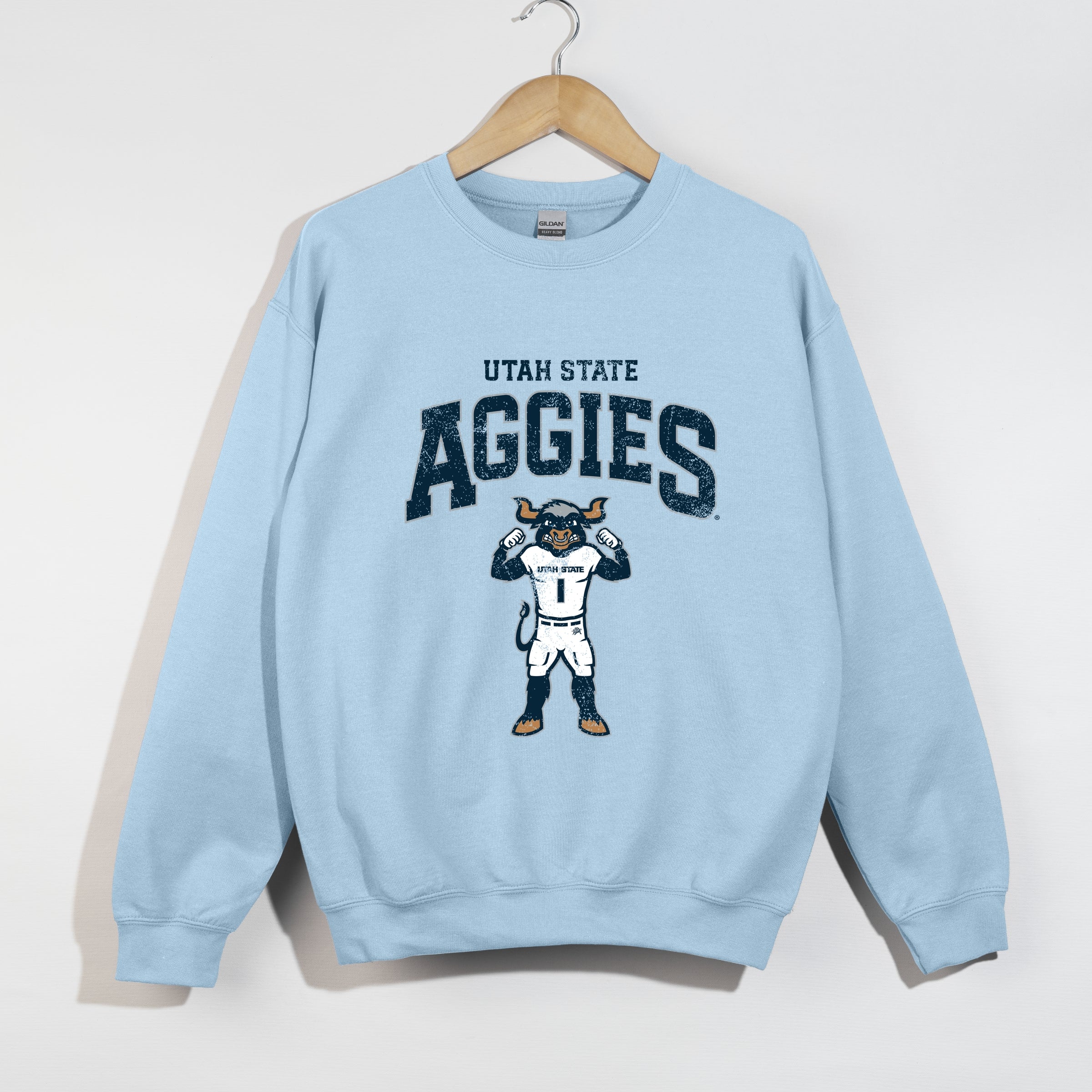 23022M_F-SWT Light Blue