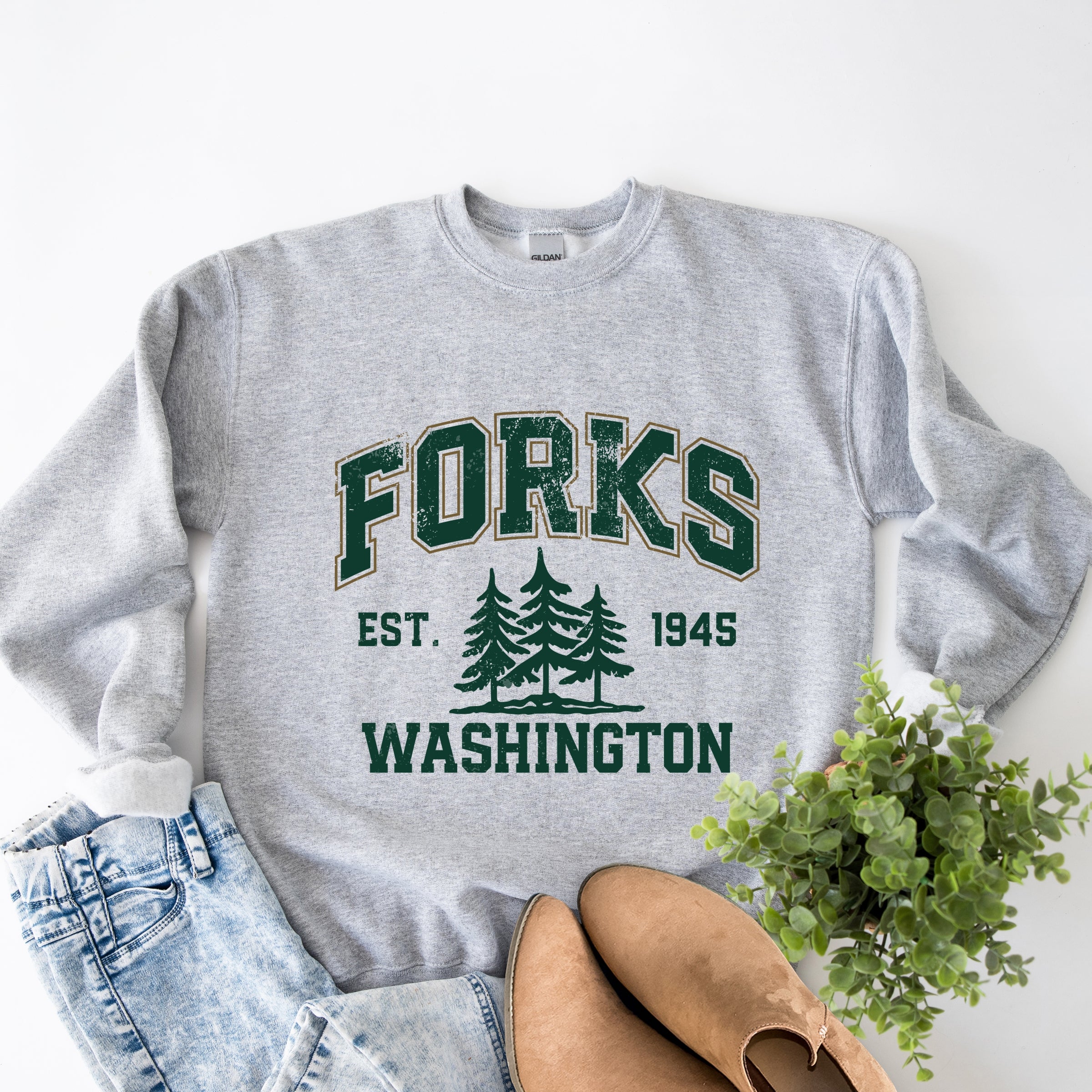 26412M_F-SWT Graphite