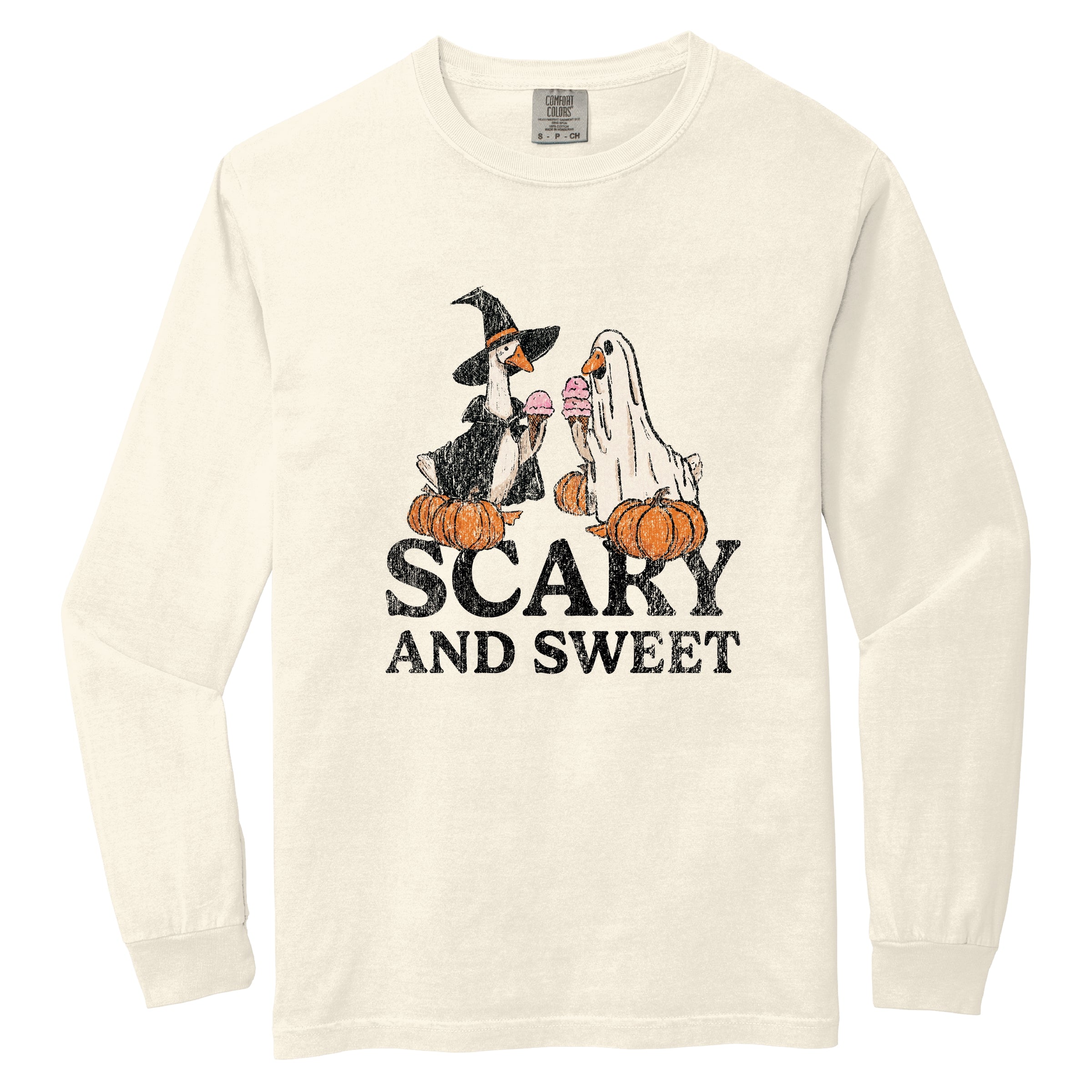 Scary and Sweet Geese - Women's Garment Dyed Long Sleeve Graphic T-Shirt