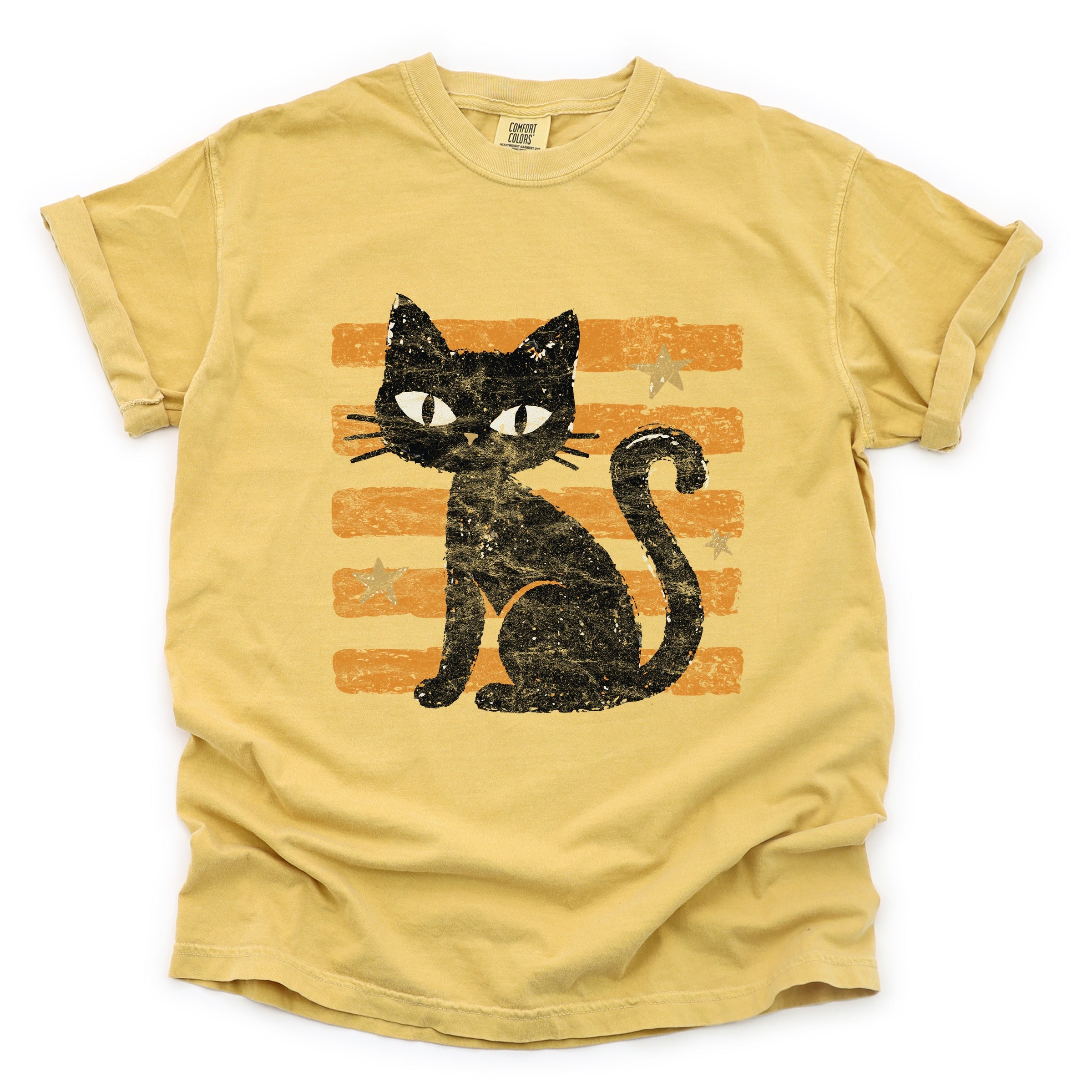 Black Cat Orange Stripes - Women's Garment Dyed Graphic T-Shirt