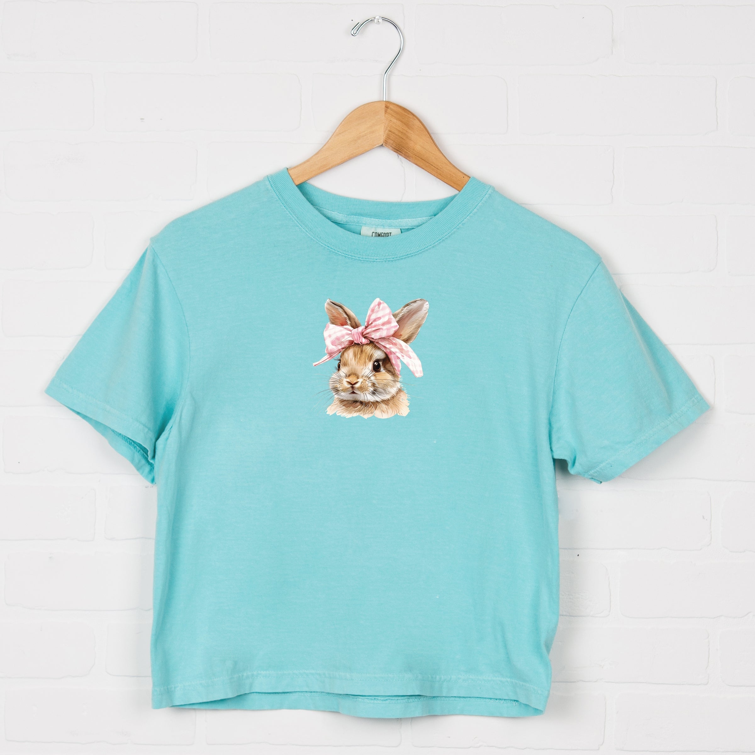 6897M_CC-BCT Chalky Mint