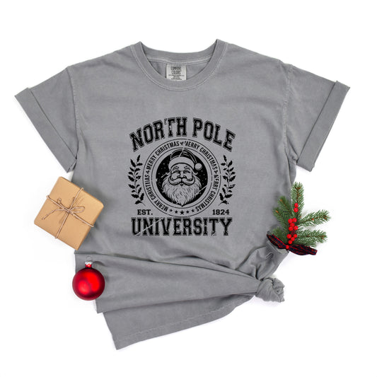 North Pole University Distressed | Garment Dyed Tee