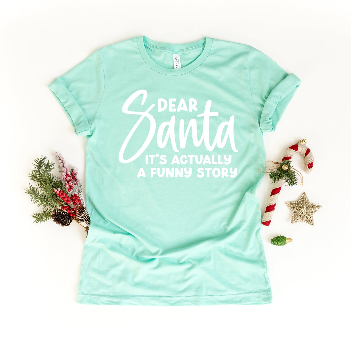 Dear Santa It's A Funny Story | Short Sleeve Crew Neck