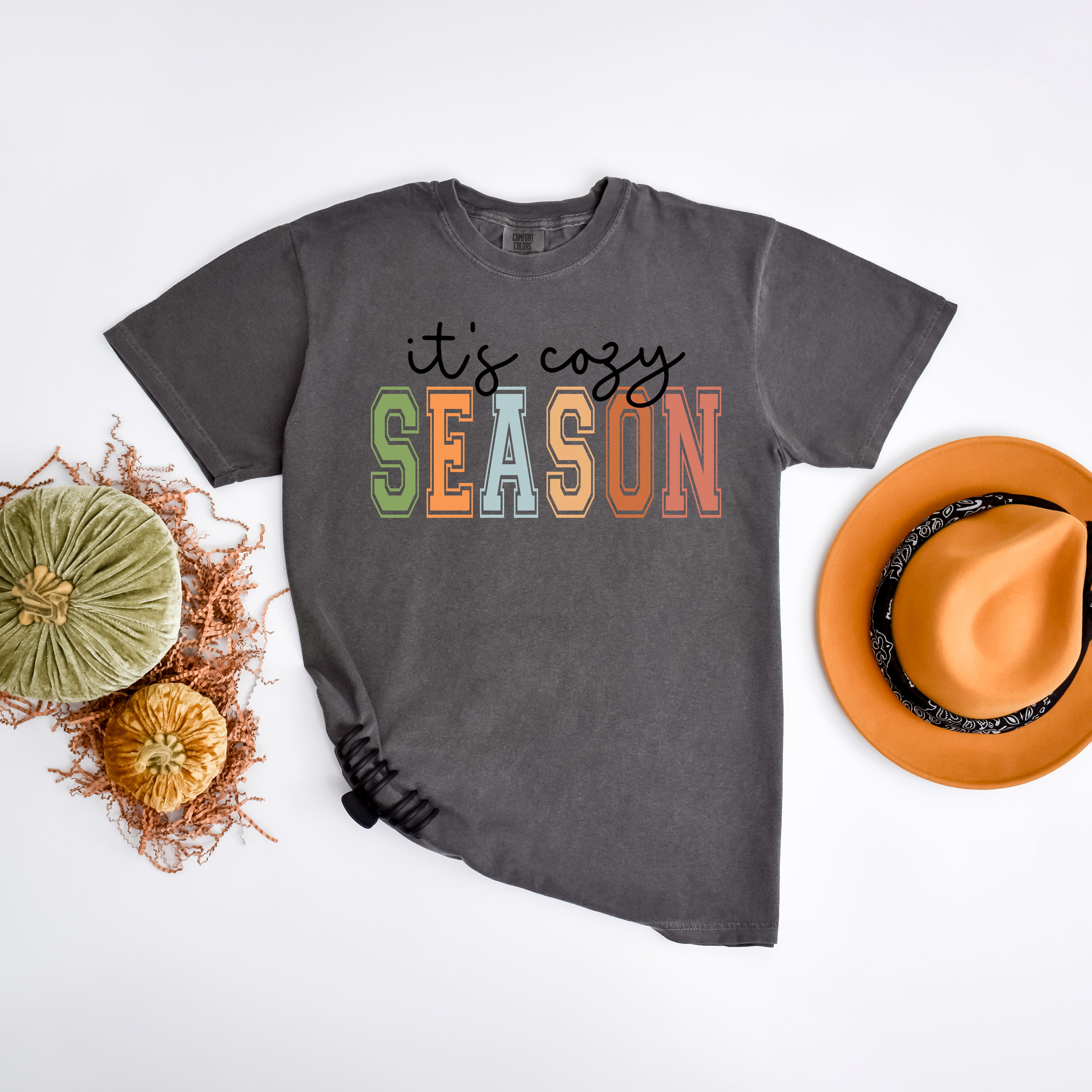 It's Cozy Season | Garment Dyed Tee