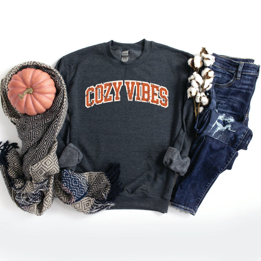 Varsity Cozy Vibes | Sweatshirt